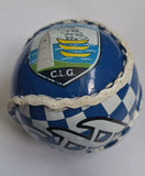 Waterford GAA Sliotar Size 4 (Dozen Pack)